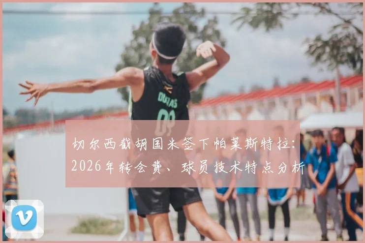 切尔西截胡国米签下帕莱斯特拉：2026年转会费、球员技术特点分析与后卫线战术位置展望