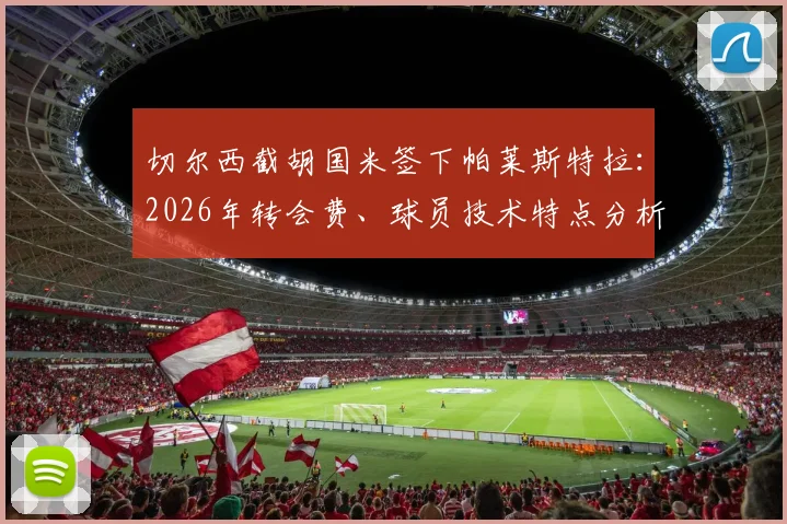 切尔西截胡国米签下帕莱斯特拉：2026年转会费、球员技术特点分析与后卫线战术位置展望